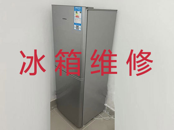 杭州冰箱维修-家电维修
